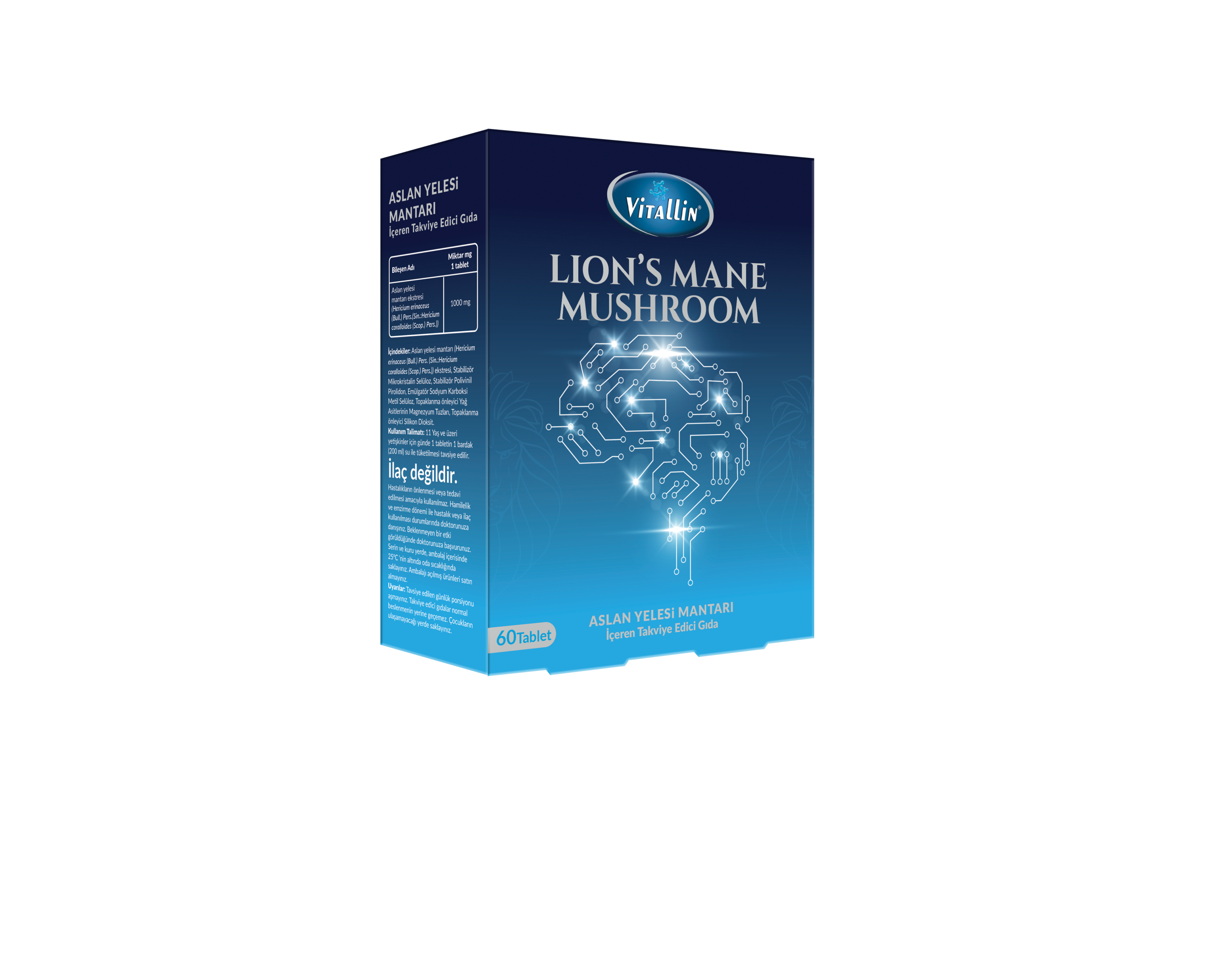 Aslan-yelesi-sunum-01